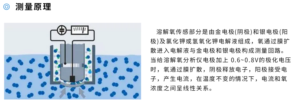 溶解氧仪第3张